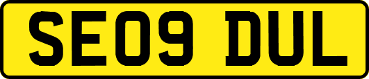 SE09DUL
