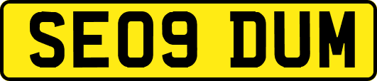 SE09DUM