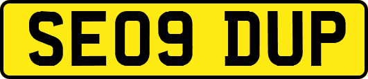 SE09DUP