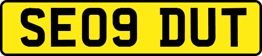 SE09DUT