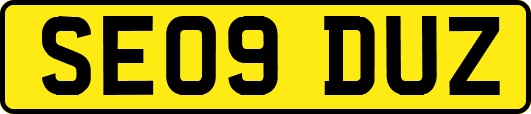 SE09DUZ