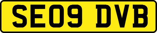 SE09DVB
