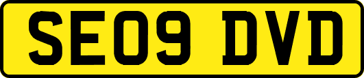 SE09DVD