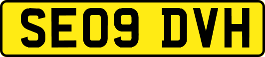 SE09DVH