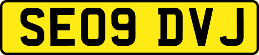 SE09DVJ