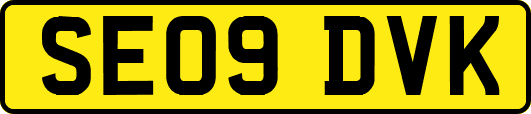 SE09DVK