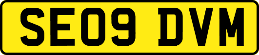 SE09DVM