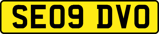SE09DVO
