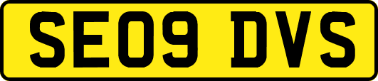 SE09DVS