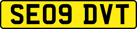 SE09DVT
