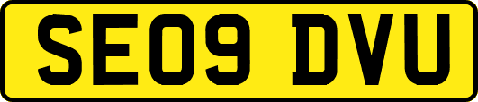 SE09DVU