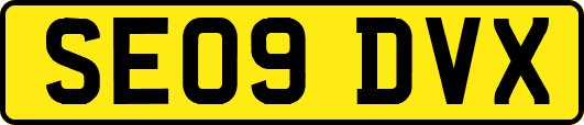 SE09DVX