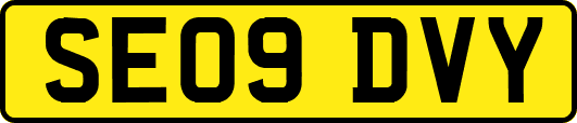 SE09DVY