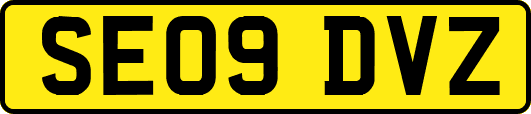 SE09DVZ