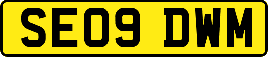 SE09DWM