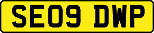 SE09DWP