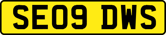 SE09DWS
