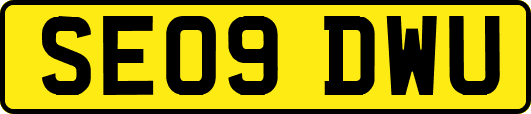 SE09DWU