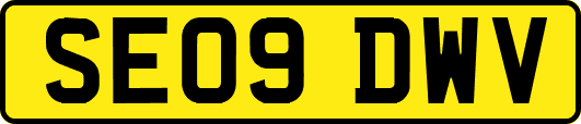 SE09DWV