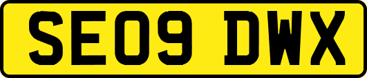 SE09DWX
