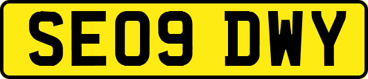 SE09DWY