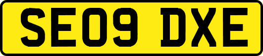 SE09DXE