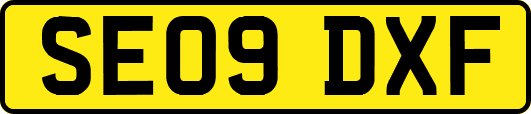SE09DXF