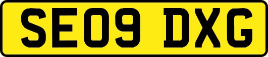 SE09DXG