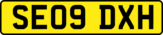 SE09DXH