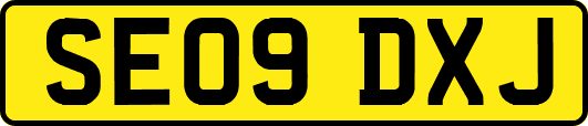 SE09DXJ