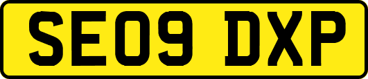 SE09DXP