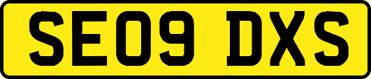 SE09DXS