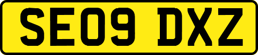 SE09DXZ
