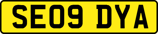 SE09DYA