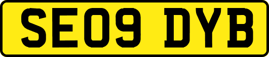 SE09DYB