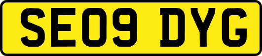 SE09DYG