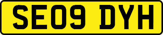 SE09DYH
