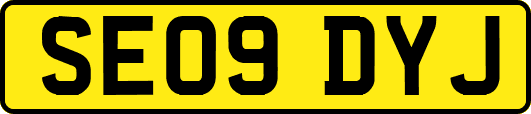 SE09DYJ