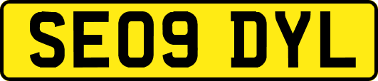 SE09DYL