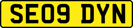 SE09DYN