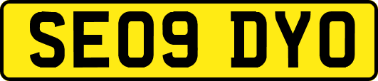 SE09DYO