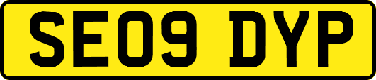 SE09DYP
