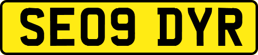 SE09DYR
