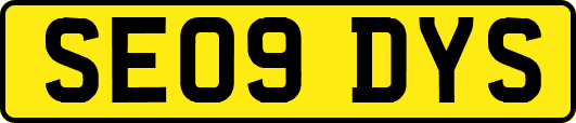 SE09DYS