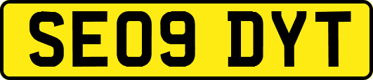 SE09DYT
