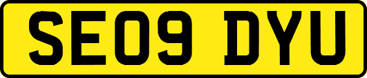 SE09DYU