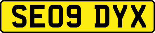 SE09DYX