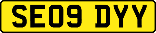 SE09DYY