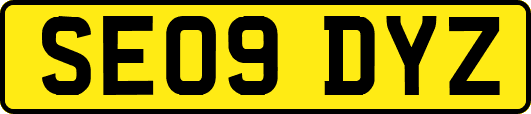 SE09DYZ