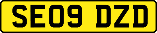 SE09DZD